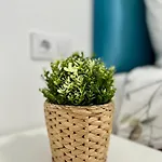 Apartment Centrico Con Parking Privado Vigo